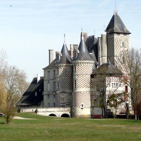Chateau Des Reaux Chouzé-sur-Loire 外观 照片