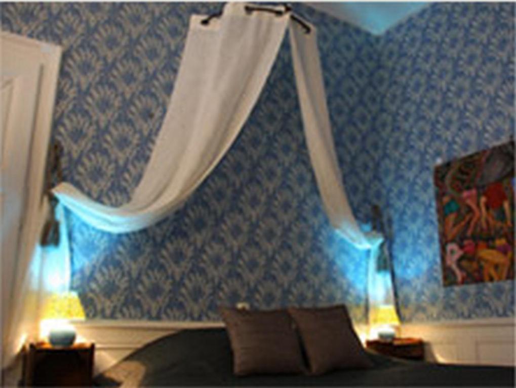 Chateau Des Reaux Chouzé-sur-Loire 客房 照片
