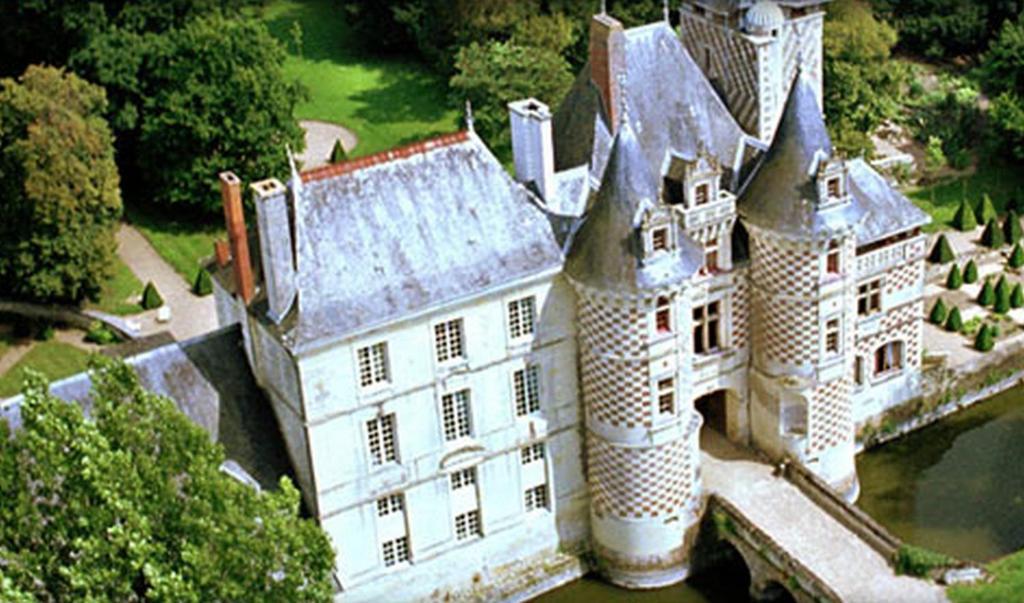 Chateau Des Reaux Chouzé-sur-Loire 外观 照片