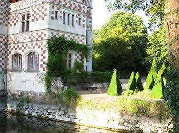 Chateau Des Reaux Chouzé-sur-Loire 外观 照片