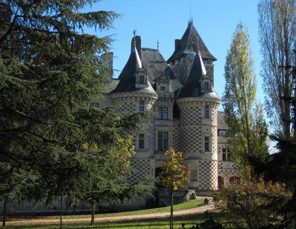 Chateau Des Reaux Chouzé-sur-Loire 外观 照片