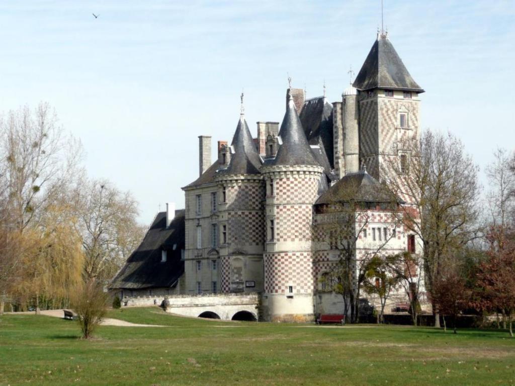 Chateau Des Reaux Chouzé-sur-Loire 外观 照片