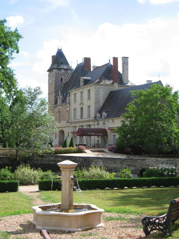 Chateau Des Reaux Chouzé-sur-Loire 外观 照片