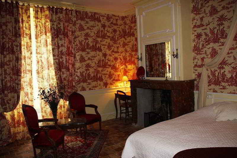 Chateau Des Reaux Chouzé-sur-Loire 外观 照片