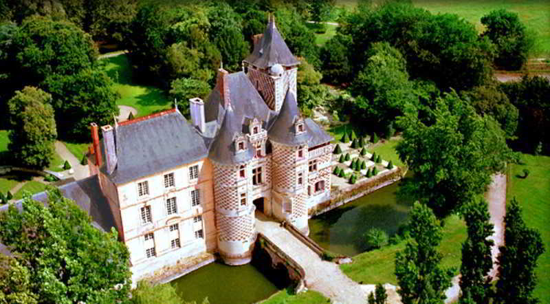 Chateau Des Reaux Chouzé-sur-Loire 外观 照片